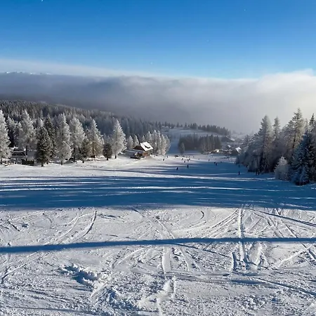 Berglodge - Panoramasauna, Eigengarten, Skipiste & Wandern *